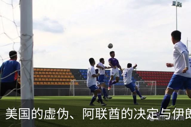 美国的虚伪、阿联酋的决定与伊朗的坚定立场